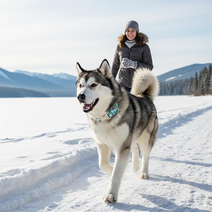 Christmas Dog Collar，Soft Cotton Dog Collars for Medium Dogs, Dog Christmas Collar with Santa for Small Medium Large Dogs, Adjustable Green Collars Perfect for Girl or Boy Dog Collars-M