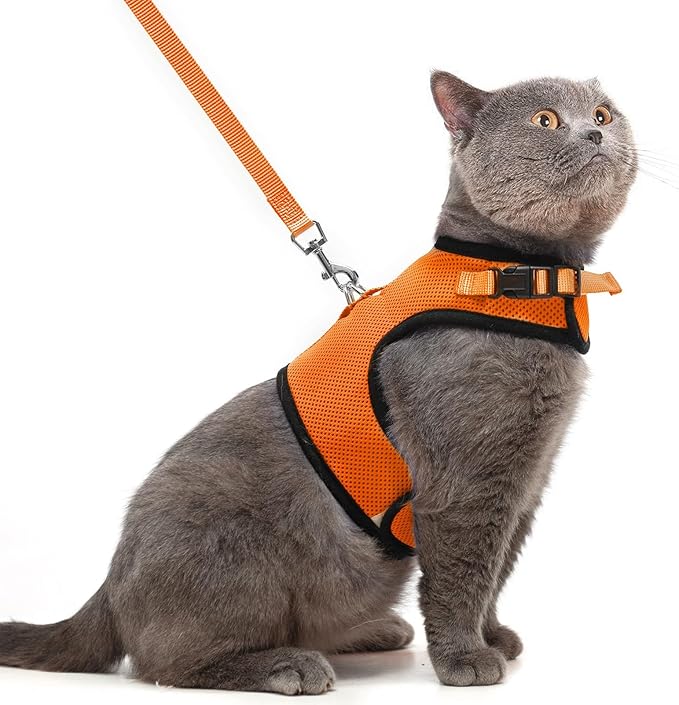 PUPTECK Soft Mesh Cat Vest Harness and Leash Set Puppy Padded Pet Harnesses Escape Proof for Cats Small Dogs Rabbits Bunny