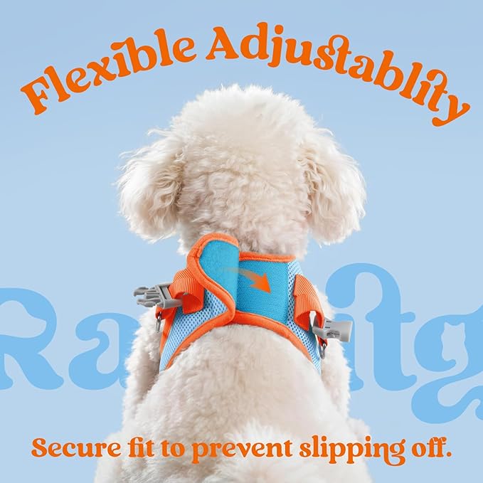 rabbitgoo Dog Harness Small Sized and Leash Set, Step-in Breathable Pet Harness, Soft Walking Reflective Puppy Vest for Small Dogs, Light Blue & Orange, S
