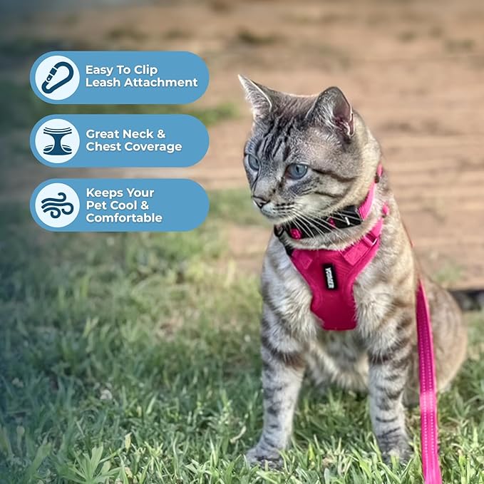 Voyager Step-in Lock Adjustable Cat Harness w. Cat Leash Combo Set with Neoprene Handle 5ft - Supports Small, Medium and Large Breed Cats by Best Pet Supplies - Fuchsia, S