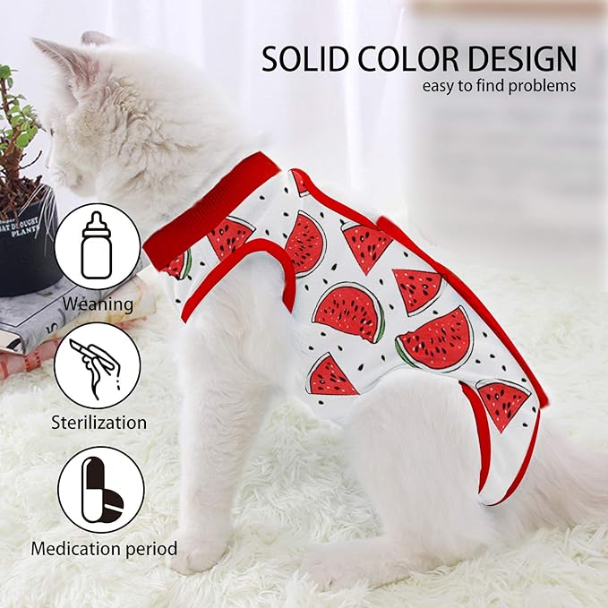Cat Professional Surgical Recovery Suit,E-Collar Alternative for Cats Dogs,After Surgery Wear, Pajama Suit,Home Indoor Pets Clothing (S(3.3-5.5lbs), Watermelon)