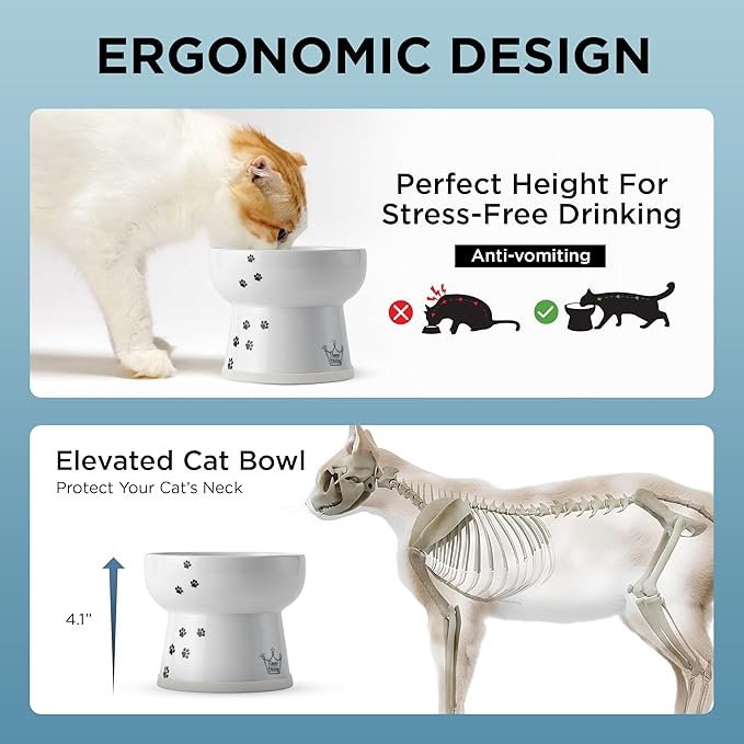 Necoichi Elevated Cat Water Bowl – Ceramic Raised Cat Bowl, Prevents Neck & Whisker Fatigue – Dishwasher & Microwave Safe – Pet Water Bowl for Cats (Cat, Extra Tall)