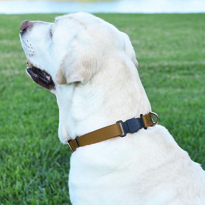 Dogline Biothane Waterproof Dog Collar with Herm Sprenger Black Stainless Steel Quick Release Buckle – Heavy Duty Tactical Durable Collar for Dogs – Comfortable and Safe Pet Collar W3/4" L12-19 Brown