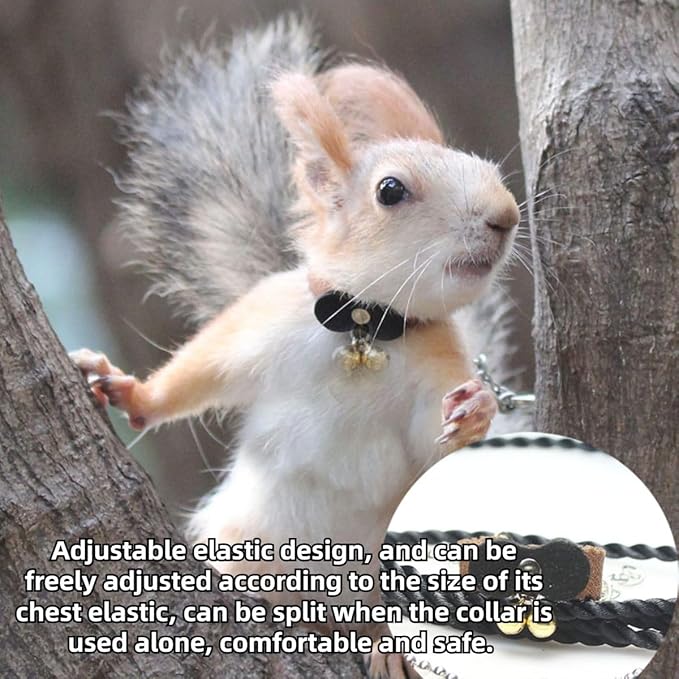 Squirrel Chipmunk Traction Rope Strap Anti-Biting Chain Rope, Small Animal Walking Collar Harness with Lead Leash for Hamster Gerbil Rat Mouse Ferret Chinchilla (Pink)