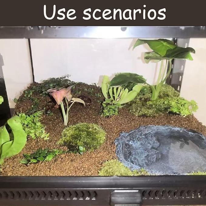 RUIAN Reptile Feeding Bowl Dish Bearded Dragon Food Water Terrarium Dish for Lizards, Geckos, Snakes, Tortoises, Chameleons(Large)