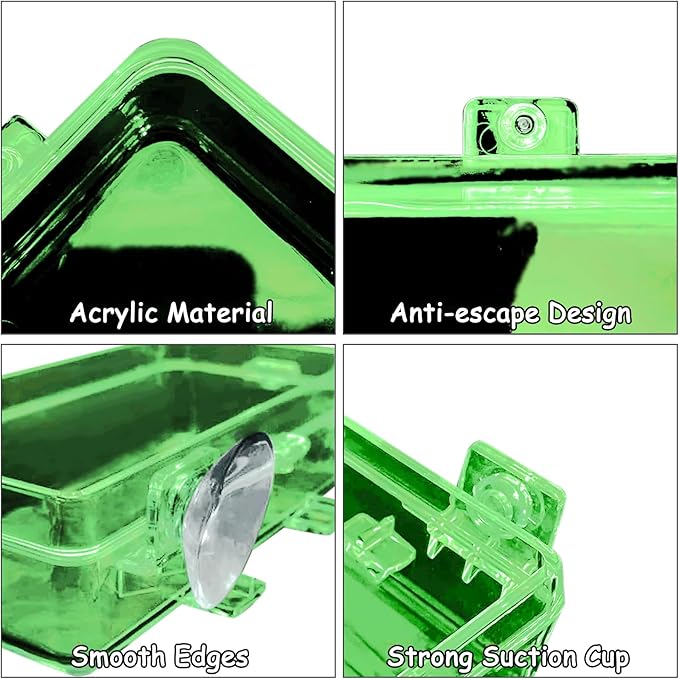 Tfwadmx 2 Pcs Reptile Feeder Chameleon Bowl Water Dish with Suction Cup Gecko Worm Feeder Anti-Escape Chameleon Supplies Accessories for Iguana Lizard Bearded Dragon Snakes （Green,L）