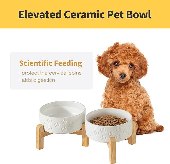 Elevated Ceramic Dog Bowl Set, 5.1" Dog Bowls with Dual Fixed Heights Stand, Elevated Food & Water Bowls for Adult Cats, Small-Breed Puppies, Non-Slip (Double Bowls + Stand - White, 5.1 inch)