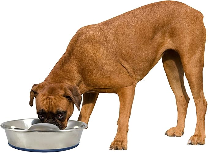 OurPet's Durapet Slow Feed Premium Stainless Steel Dog Bowl, Silver, Large (2040010302)