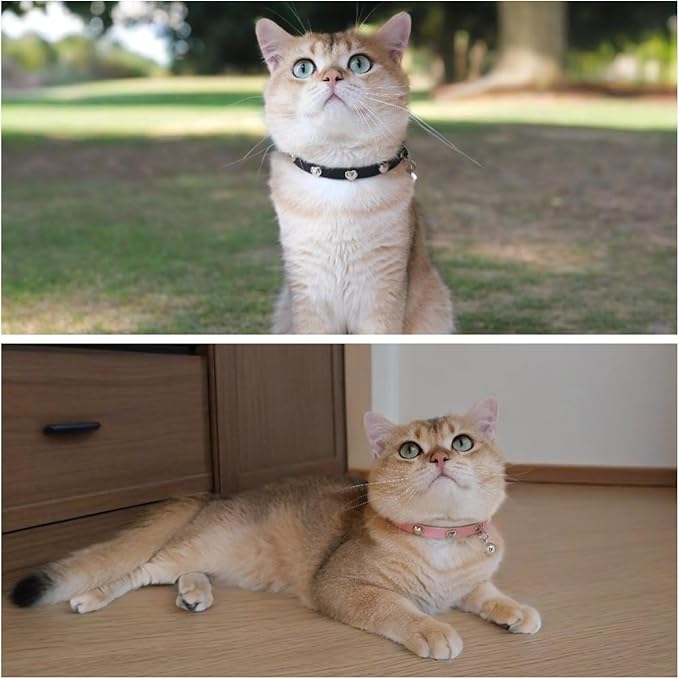 Spiked Cat Collar with Bells, Breakaway Genuine Leather Protective Collar for Kitty, Studs Spikes Punk Style, Heart Pattern, Adjustable for Girl Boy Kittens Small Bunny Rabbit, 8"-9.5" Black