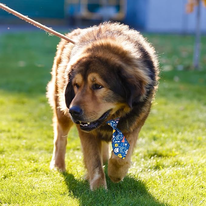 PET SHOW 10pcs Pack Paw Small Dog Ties Neckties for Doggies Cats Adjustable Holiday Birthday Grooming Accessories Neck Ties Bowties Girl Boy Festival Wedding Costumes Puppies Photography Party Gift