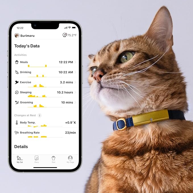 Health Tracker for Cats - Smart Cat Collar with Safety Breakaway Buckle for Indoor Cats, Wellness Alerts, Real-time Monitoring (Pop (Mosaic),XL)