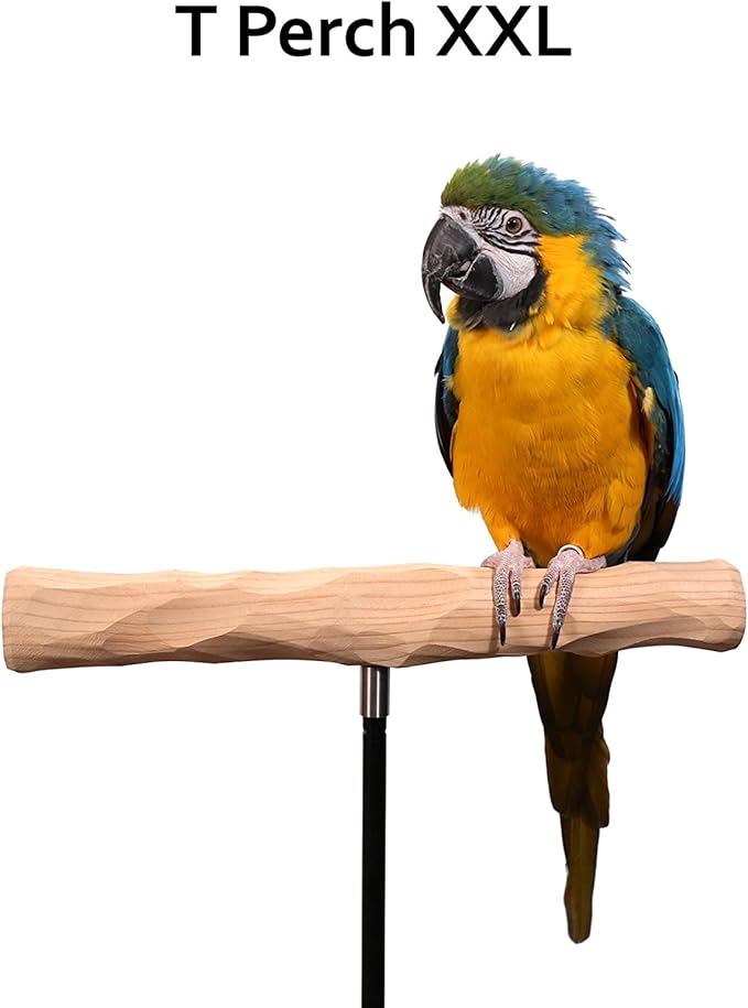 Parrot Training Perch Kit (T Perch, XXL)