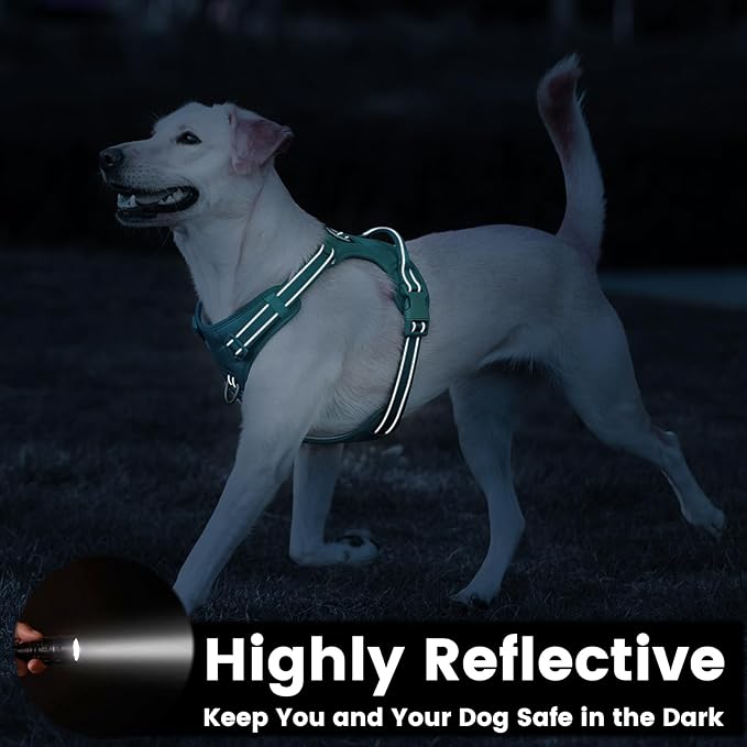 No Pull Dog Harness, Reflective Puppy Vest for Small Medium Large Sized Dog(MARRS Green,XS)