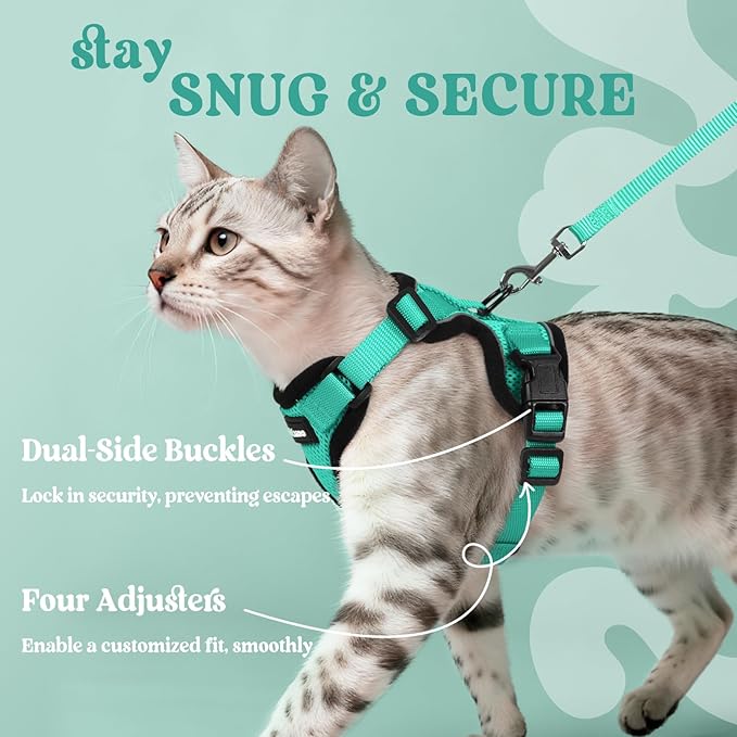 rabbitgoo Cat Harness and Leash for Walking, Escape Proof Soft Adjustable Vest Harnesses for Cats, Easy Control Breathable Reflective Strips Jacket, Emerald, XS