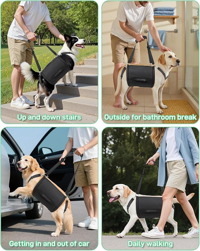 Dog Lift Harness with Adjustable Lifting Straps, Sling for 39-57 lbs Large Dogs Hind Legs Support, Rehabilitation Dog Carrier, for Wounded, Disabled and Joint Injuries for Senior Dogs