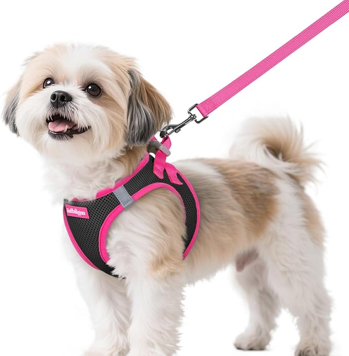 rabbitgoo Dog Harness Small Sized and Leash Set, Step-in Breathable Pet Harness, Soft Walking Reflective Puppy Vest for Small Dogs, Black & Rose Red, S