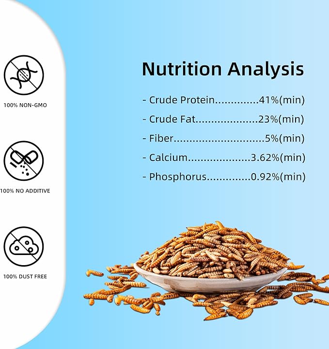 I LOVE WORMS Dried Black Soldier Fly Larvae (10lb), 100% Natural Non-GMO, Treat for Chickens, More Calcium Chicken Feed Than Mealworms