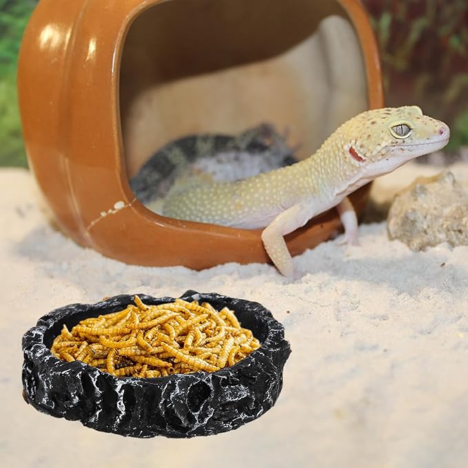 Frcctre 4 Pack Reptile Food Dish with Feeding Tongs, Resin Reptile Water Dish Food Bowl Feeding Terrarium Bowl for Leopard Gecko Lizard Tortoise Frog Bearded Dragon Chameleon