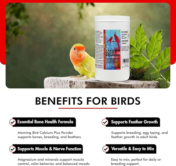 Morning Bird Calcium Plus Powder for Birds 16 oz – Calcium Supplement with Vitamin & Protein Powder – Supports Bone Health, Muscle Function & Digestive Balance – Easy-to-Mix Calcium Formula