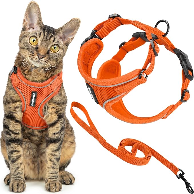 Voyager Escape Proof Cat Harness and Leash Set with Reflective Stitching, Neoprene Handle 5ft - Supports Small, Medium and Large Cats, Kittens for Walking by Best Pet Supplies - Orange, S