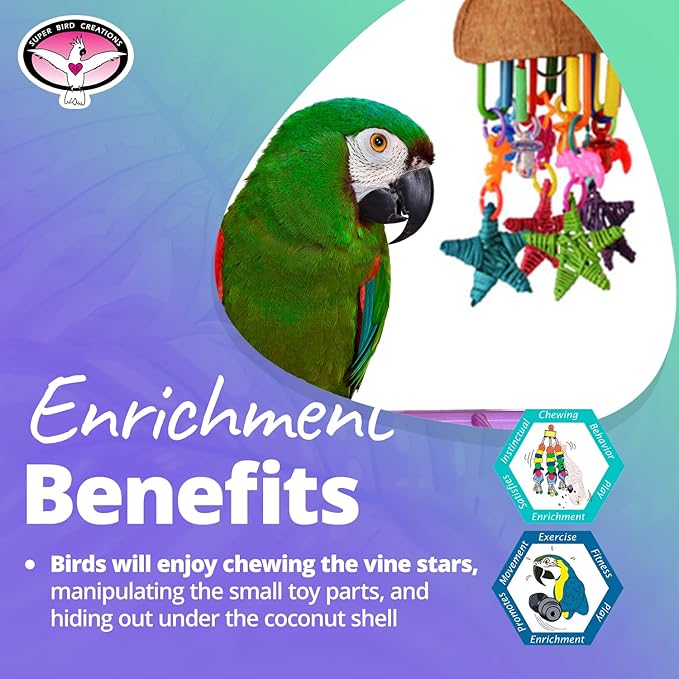 Super Bird Creations SB896 Seeing Stars Bird Toy - Interactive Foraging Toy, Ideal for Parrotlets, Parakeets, Cockatiels, Stimulates Mental and Physical Activity - Small/Medium Bird Size, 9.5" x 3.5"