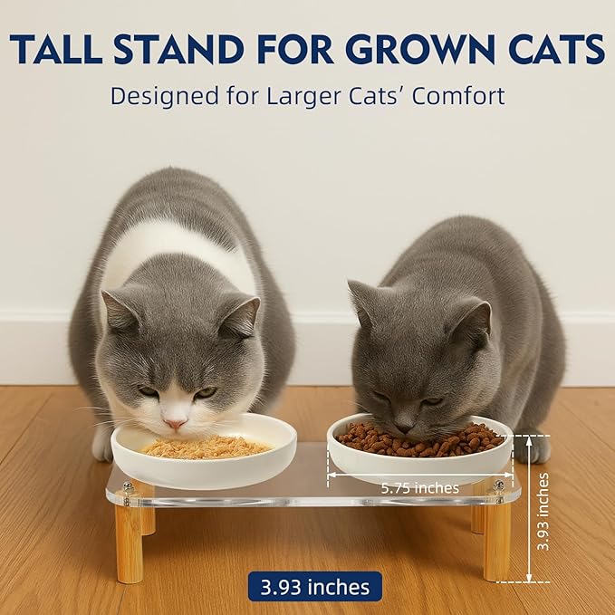 Elevated Cat Bowls for Indoor Cats – Modern Acrylic Cat Food Table with 2 Ceramic Dishes, Adjustable Height (4.05"/2.87"), Whisker Friendly Raised Feeding Station