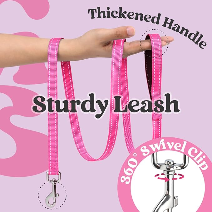 rabbitgoo Dog Harness Small Sized and Leash Set, Step-in Breathable Pet Harness, Soft Walking Reflective Puppy Vest for Small Dogs, Black & Rose Red, L