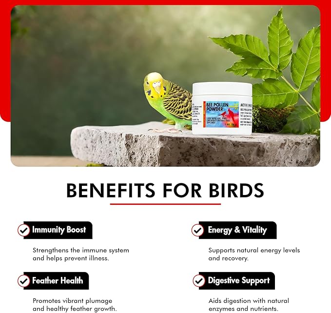 Morning Bird Bee Pollen Powder for Birds 1 Oz – Complete Nutrition with Protein, Amino Acids & Immune Support – Bird Vitamin & Mineral Supplement for Daily Health & Wellness