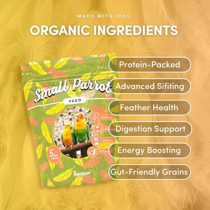 Mycelium Organic Small Parrot Bird Seed (5 LB Bag) | High-Energy Bird Food w/Premium Seeds & Grains for Skin & Feather Health | Daily Nutrition for Parrotlets, Conures & Cockatiel | Non-GMO, USA Made