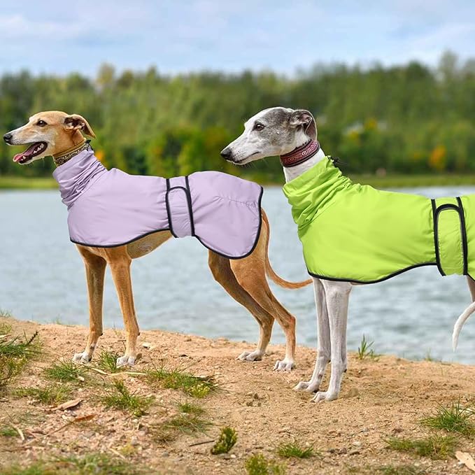 Dog Raincoat with Reflective Bar, Rain/Water Resistant, Adjustable Vest - Dog Raincoats for Greyhounds, Lurchers and Whippets - Purple - L
