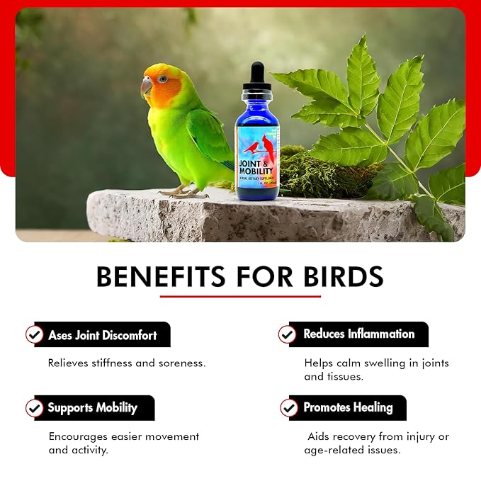 Morning Bird Joint & Mobility 1 fl oz – Muscle Pain Relief Supplement for Joint Health, Stop Pain & Arthritis Supplements – Herbal Liquid Formula for Aging, Injured, or Stressed for All Bird Types