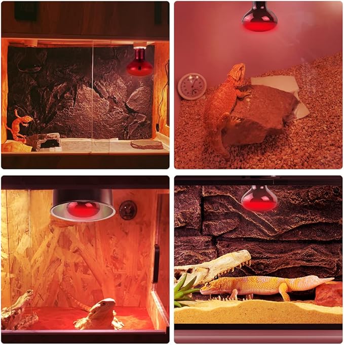 LUCKY HERP 75W Reptile Heat Lamp Bulbs 2 Pack, Reptiles & Amphibians Infrared Basking Spot Lamp, Heat Light Bulb for Turtle, Bearded Dragon, Lizard