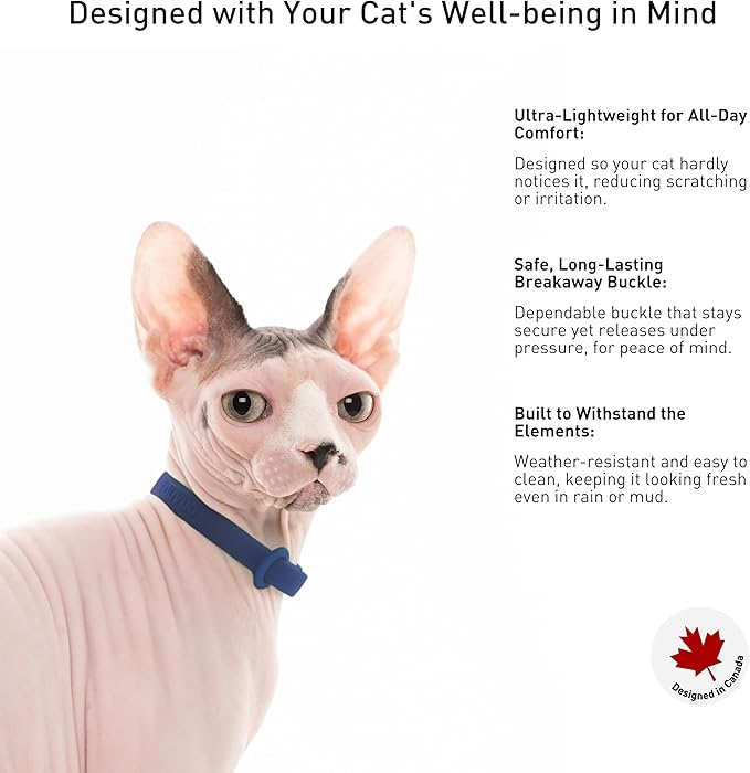 Break Away Collar for Cats - Soft, Thin, and Lightweight Safety Buckle Collar with Name Tag Ring for Outdoor Cats and Sensitive Skin Kittens by Nuvuq (6 ⅞" to 10 ¼", Dark Blue)