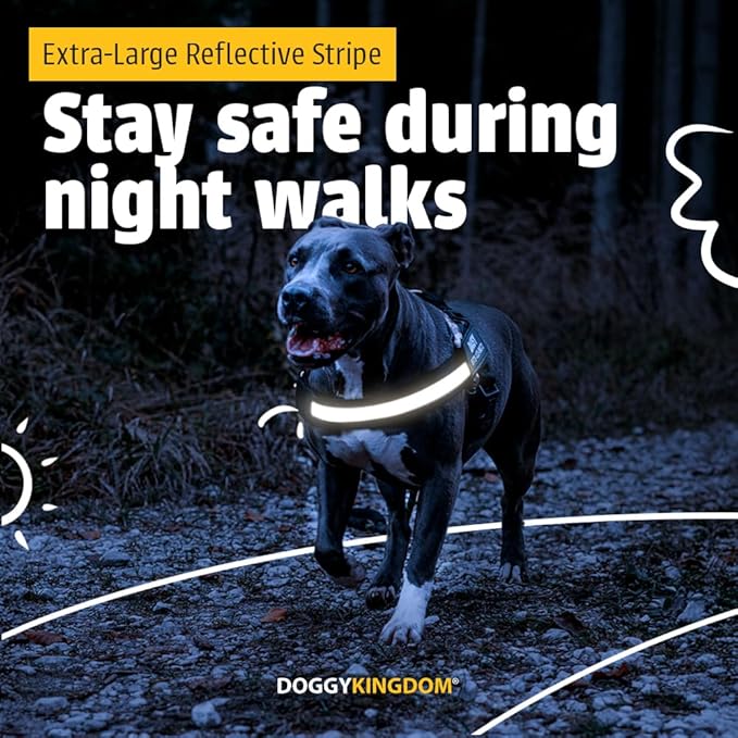 Personalized No-Pull Dog Harness with Name Patch, Adjustable, Reflective, Padded, Heavy Duty Pet Vest to Prevent Tugging, Pulling, or Choking, Training and Walking, Camouflage Pink, XL