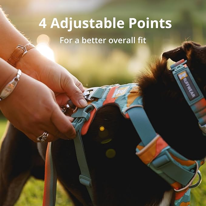 Ruffwear, Front Range Dog Harness, Reflective Soft Padded Everyday Harness with Dual Leash Clips, Adjustable and Lightweight Fit for Training or Walking for All Dogs, River Rock Green, Medium