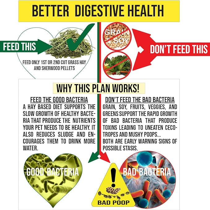 Sherwood Pet Health Adult Rabbit Food Timothy Hay Free-Choice 10lbs Hay-Based, Grain and Soy-Free for Better Digestion