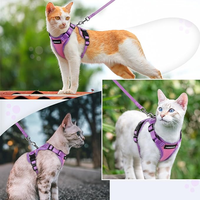 rabbitgoo Cat Harness and Leash Set, Escape Proof Soft Adjustable Vest Harnesses for Outdoor Walking, Easy Control Breathable Kitten Jacket with Reflective Strips, Pink & Purple, S
