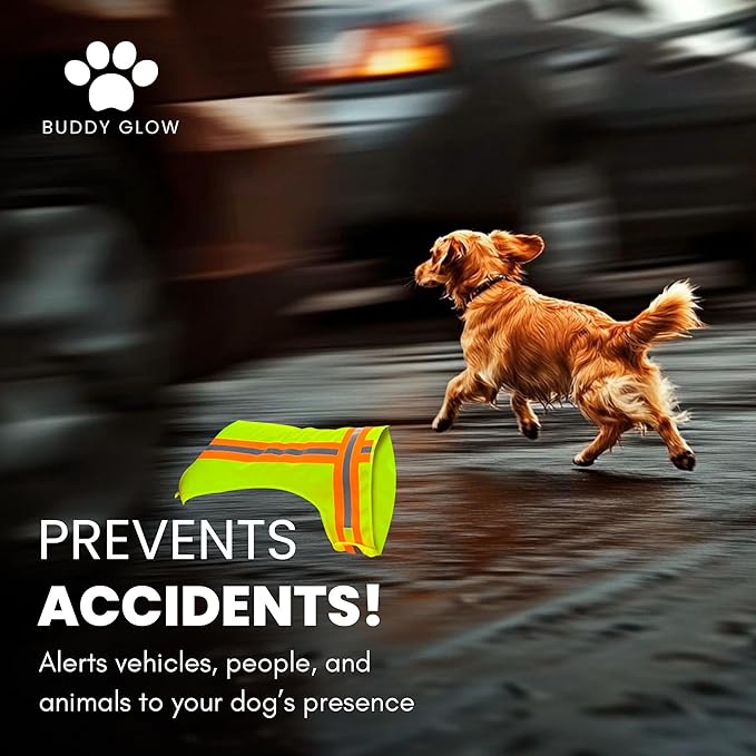 Reflective Dog Vest: Hi-Visibility Safety Gear for Outdoors. Safeguard Your Dog with Easy to wear Adjustable Reflective Vest Jacket (Medium)