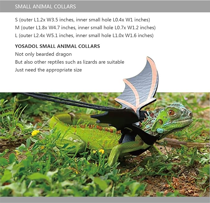 Bearded Dragon Leash and Harness Set, Beardie Carrier, Lizard Adjustable Harness with Leather Wings and Sling Bag, Reptile Small Pet Backpack Batwing Accessories (Grey)