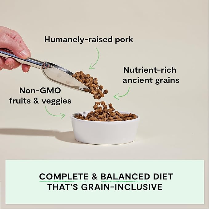 Open Farm, Ancient Grains Dry Dog Food, Protein-Rich & Nutrient Dense, 90% Animal Protein Mixed with Non-GMO Fruits, Veggies and Superfoods, Farmer's Table Pork Recipe, 11lb Bag