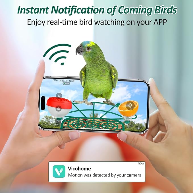 Bird Feeder with Camera, 2K Birds Camera with 3-in-1 Feeding, Drinking, and Bathing | AI Identify, Real-Time Monitoring and Alerts | IP65 and Squirrel-Proof for Outdoors, Gift for Bird Lovers