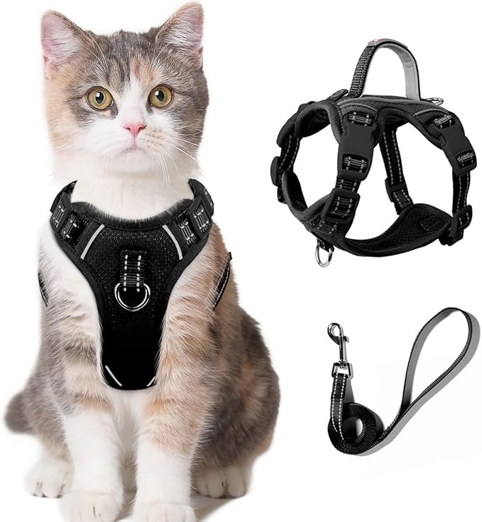 Cat Harness and Leash Set for Walking Escape Proof for Small Large cat Kitten Harness with ID tag Pocket (Black,XXS)