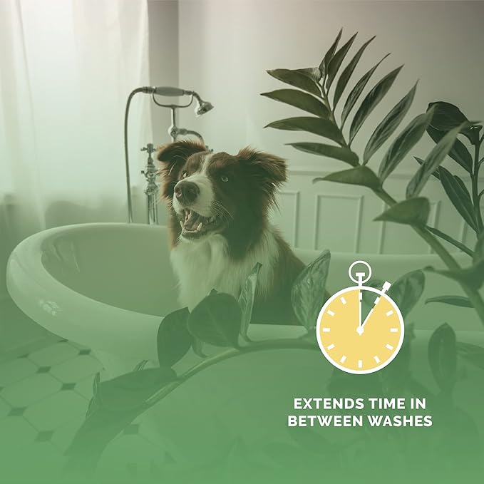 Bark2Basics Salon Scents Pet Grooming Cologne - 8 oz, Natural Professional Groomer Perfume for Dogs and Cats, Long Lasting, Made in The USA (Fresh and Clean)