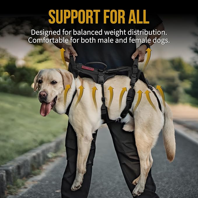 OneTigris Multi-Function Dog Lift Harness, All-Gender Dogs Friendly Design, Full Body Dog Sling Carrier with Three Handles Front/Rear Leg Assist for Arthritis, Help Em Up Harness for Dogs