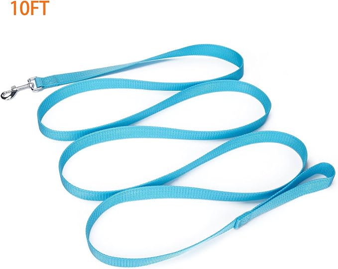 Strong Durable Nylon Dog Training Leash, 1 Inch Wide Traction Rope, 10 ft Long, for Small and Medium Dog (Mint Blue, 10 Feet)