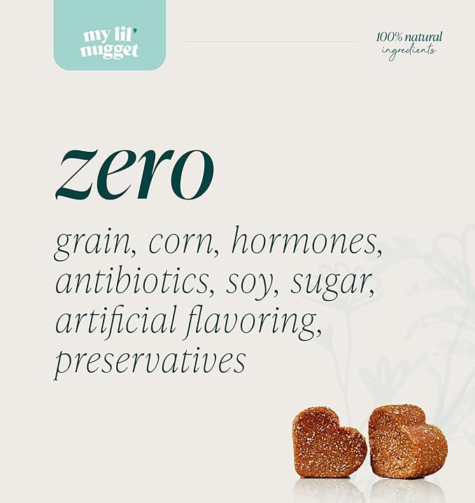 My Lil’ Nugget – Vet-Approved Natural Hip and Joint Support for Dogs | Glucosamine, Chondroitin & Hemp | Mobility & Dog Arthritis Pain Relief | All-Ages – Senior Dog to Puppy | 90 Bacon Flavor Chews