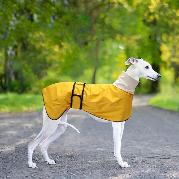 Dog Raincoat with Reflective Bar, Rain/Water Resistant, Adjustable Vest - Dog Raincoats for Greyhounds, Lurchers and Whippets - Yellow - M