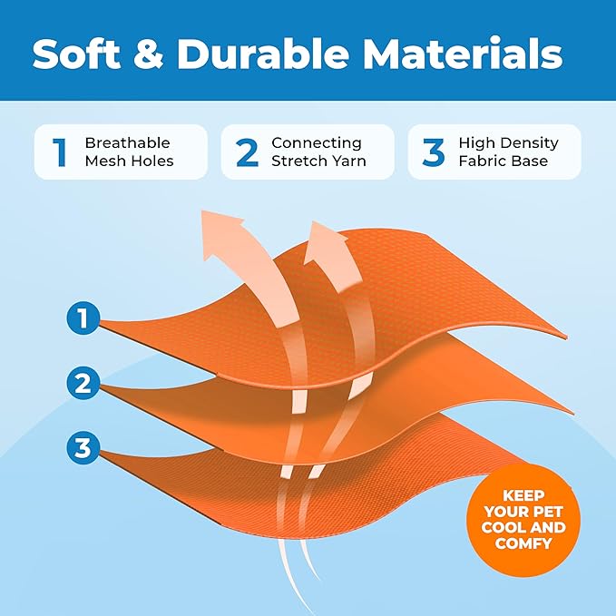 Voyager Escape Proof Cat Harness and Leash Set with Reflective Stitching, Neoprene Handle 5ft - Supports Small, Medium and Large Cats, Kittens for Walking by Best Pet Supplies - Orange, XS