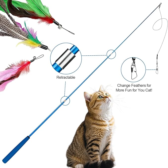 Walfront Cat Toys for Indoor Cats, 12PCS Kitten Toy Set with 2 Retractable Wands & Interactive Feather Teasers, Fun Chase and Exercise Toys to Keep Cats Active and Healthy