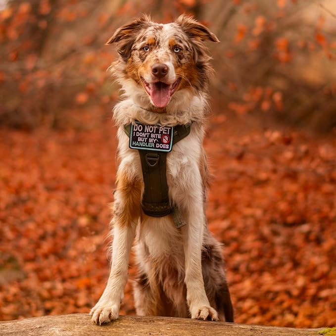 rabbitgoo Dog Harness Medium Sized No Pull, Tactical Service Pet Vest with Molle and Control Handle, Adjustable and Reflective Military Harness for Easy Walking and Training, Brown camo, M